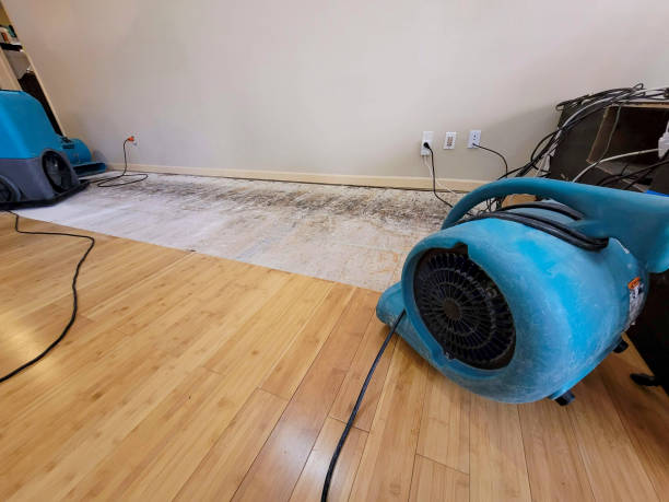 Professional Flood Damage Cleanup technician working in Peoa, UT